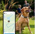 GPS obojek pro psy Tractive
